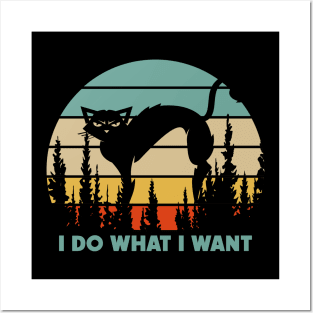 I Do What I Want Posters and Art